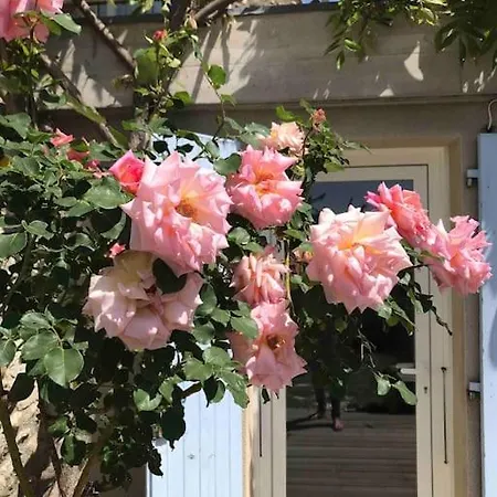 La Petite Maison De St Peray * Saint-Péray