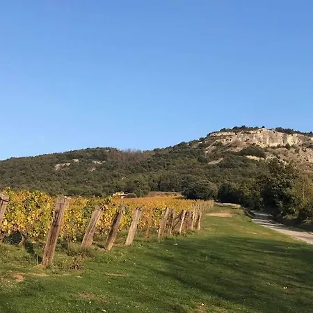 La Petite Maison De St Peray Saint-Péray